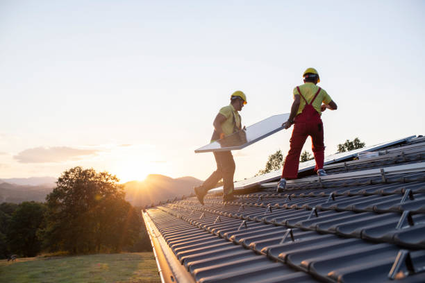 Best Roof Moss and Algae Removal  in Northlake, SC