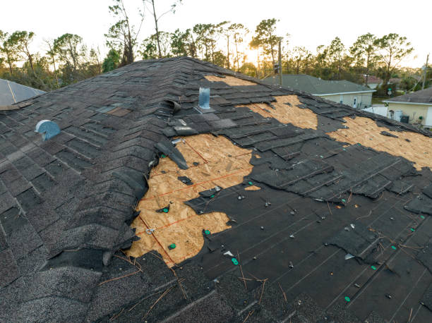 Best Asphalt Shingles Roofing  in Northlake, SC