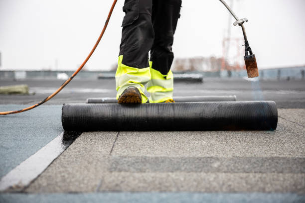Best Roof Insulation Installation  in Northlake, SC